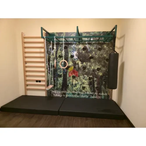 Modular Climbing Wall With Monkey Bar And Swedish Ladder